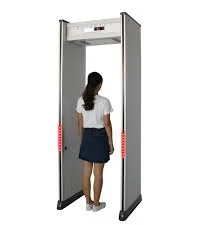 Walk-through metal detector dex